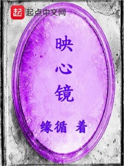 映心镜